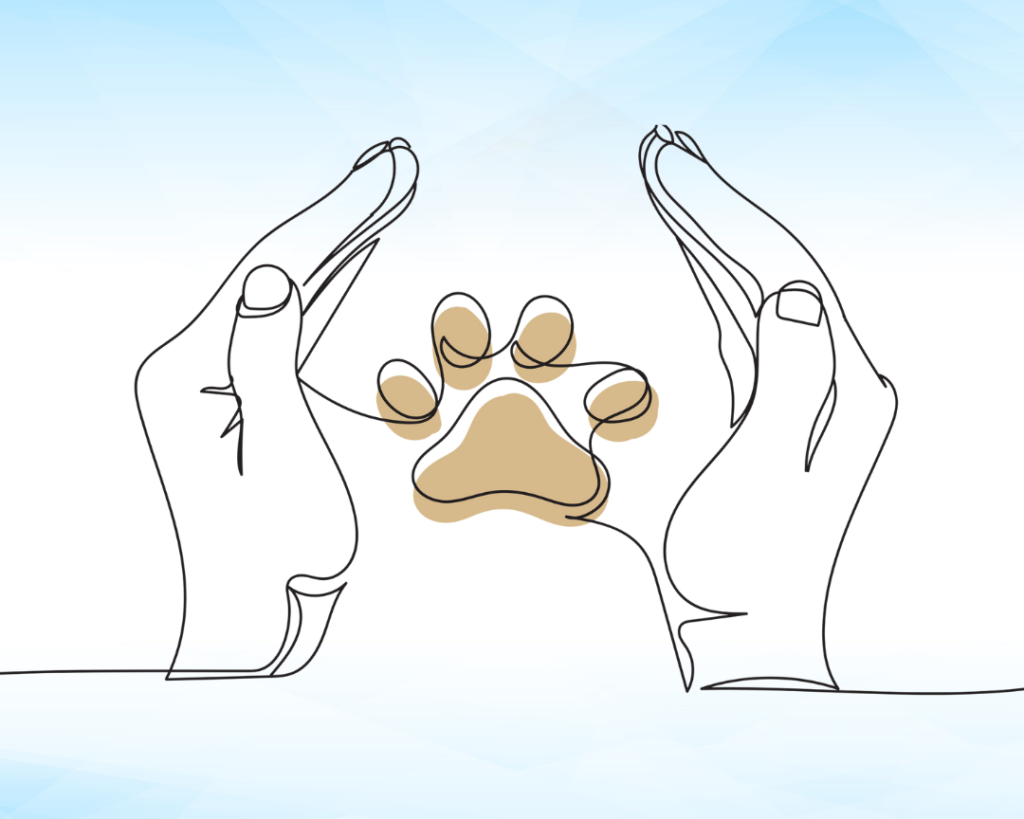 Veterinary medicines blog